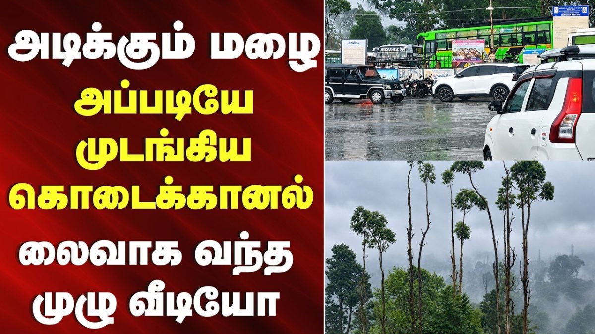 Kodaikanal | அடிக்கும் மழை.. அப்படியே முடங்கிய கொடைக்கானல்.. | Kodaikanal Heavy Rain