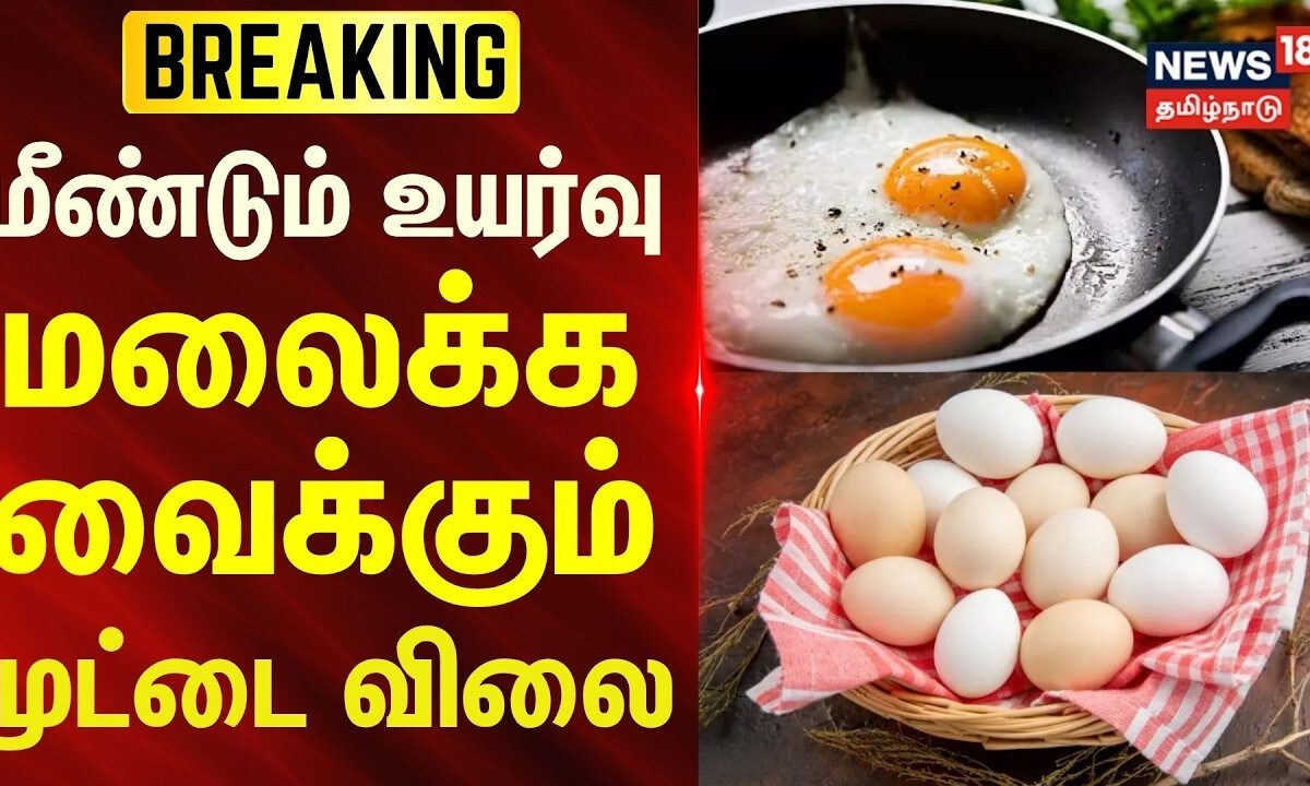 Namakkal Egg Price Hike | மீண்டும் உயர்வு.. மலைக்க வைக்கும் முட்டை விலை.. | News18Tamilnadu