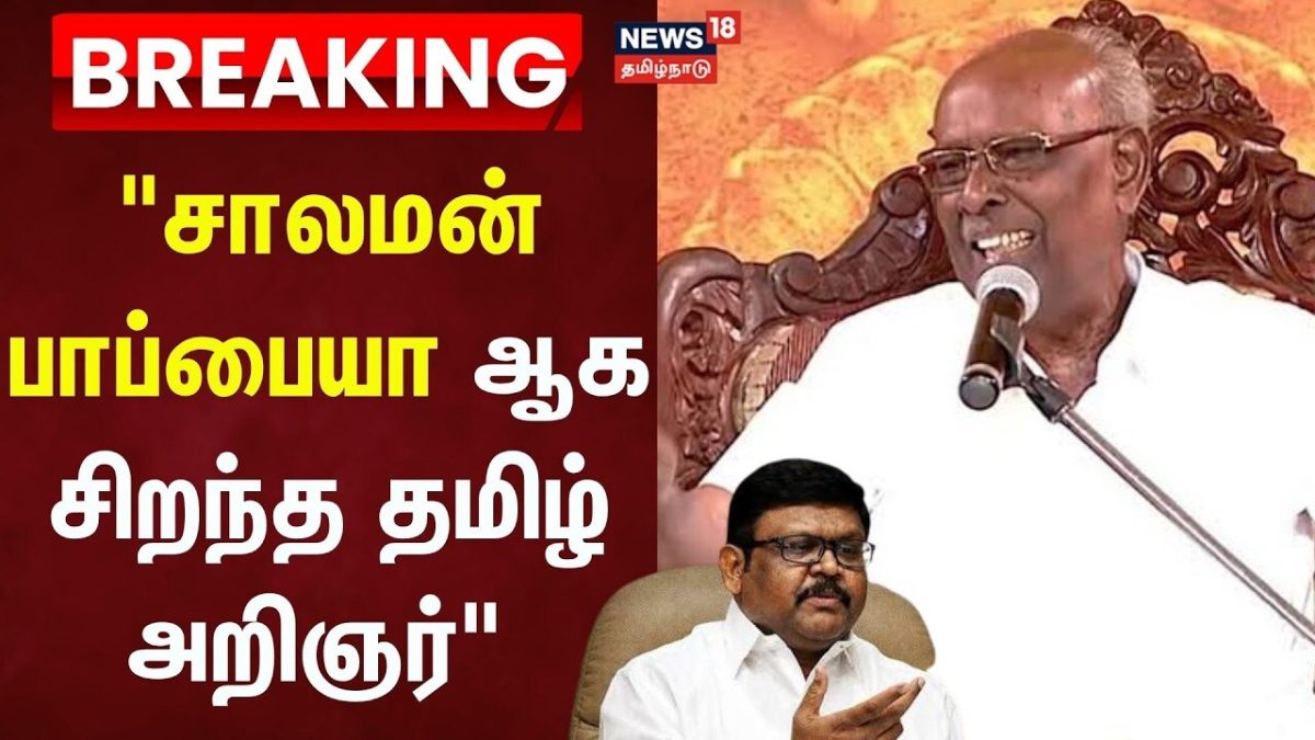 RIP Solomon Pappaiah | "சாலமன் பாப்பையா ஆக சிறந்த தமிழ் அறிஞர்" | TVK | Vaigaiselvan | Tamil News