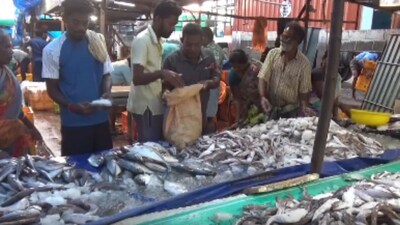 புரட்டாசியிலும் குறையாத மீன் விலை