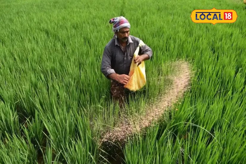 பாதுகாவலர் விருது:<br />பாரம்பரிய நெல் ரகங்களைப் பாதுகாத்து அதிக மகசூல் பெறும் விவசாயிகளுக்கு ₹1,00,000 (ரூபாய் ஒரு லட்சம்) பரிசுத் தொகையுடன் பாராட்டுச் சான்றிதழும் வழங்கப்படும்.<br />போட்டிக்குரிய பயிர்கள் (மாநில அளவு):<br />நெல் (இறவை), பாரம்பரிய நெல், கம்பு, கேழ்வரகு, தினை, உளுந்து, மணிலா (நிலக்கடலை), எள் மற்றும் பச்சைப்பயிறு பாதுகாவலர் விருது:<br />பாரம்பரிய நெல் ரகங்களைப் பாதுகாத்து அதிக மகசூல் பெறும் விவசாயிகளுக்கு ₹1,00,000 (ரூபாய் ஒரு லட்சம்) பரிசுத் தொகையுடன் பாராட்டுச் சான்றிதழும் வழங்கப்படும்.<br />போட்டிக்குரிய பயிர்கள் (மாநில அளவு):<br />நெல் (இறவை), பாரம்பரிய நெல், கம்பு, கேழ்வரகு, தினை, உளுந்து, மணிலா (நிலக்கடலை), எள் மற்றும் பச்சைப்பயிறு