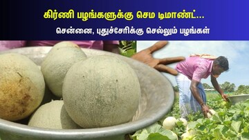 தீவிரமான