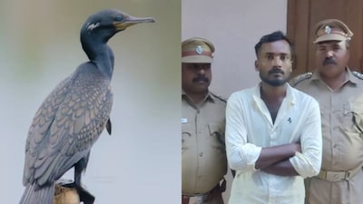 கைதானவர்