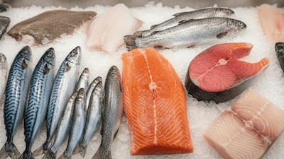 fish