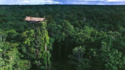 Not on the ground, but 50 feet high: Do you know about these people living at the top of trees?