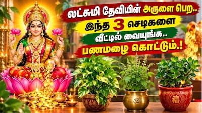 வாஸ்து டிப்ஸ்