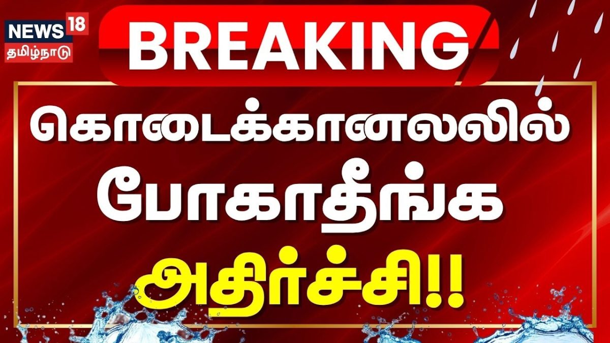 Just Now | கொடைக்கானலலில் நாளை சுற்றுலாத் தலங்கள் மூடப்படுகின்றன: திண்டுக்கல் ஆட்சியர்