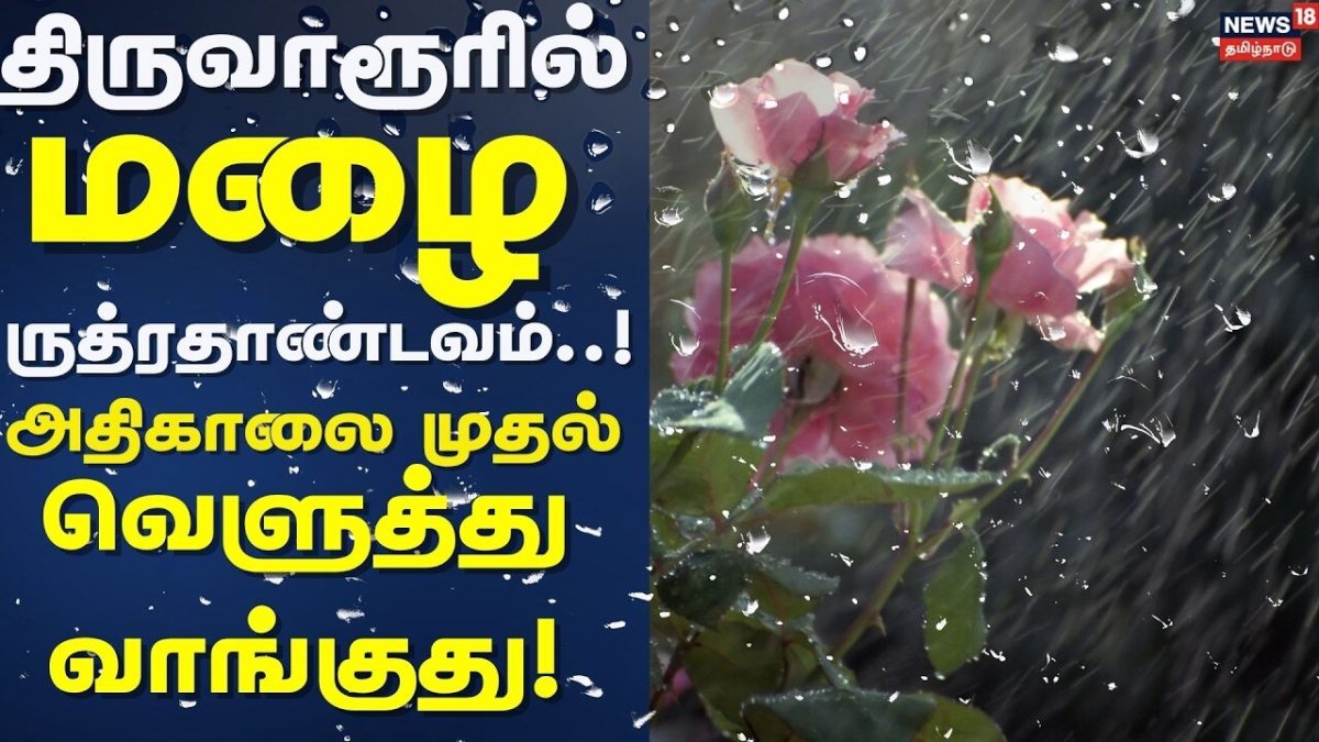 Tiruvarur Heavy Rain | திருவாரூரில் மழை ருத்ரதாண்டவம்..! அதிகாலை முதல் வெளுத்து வாங்குது..! | Rain