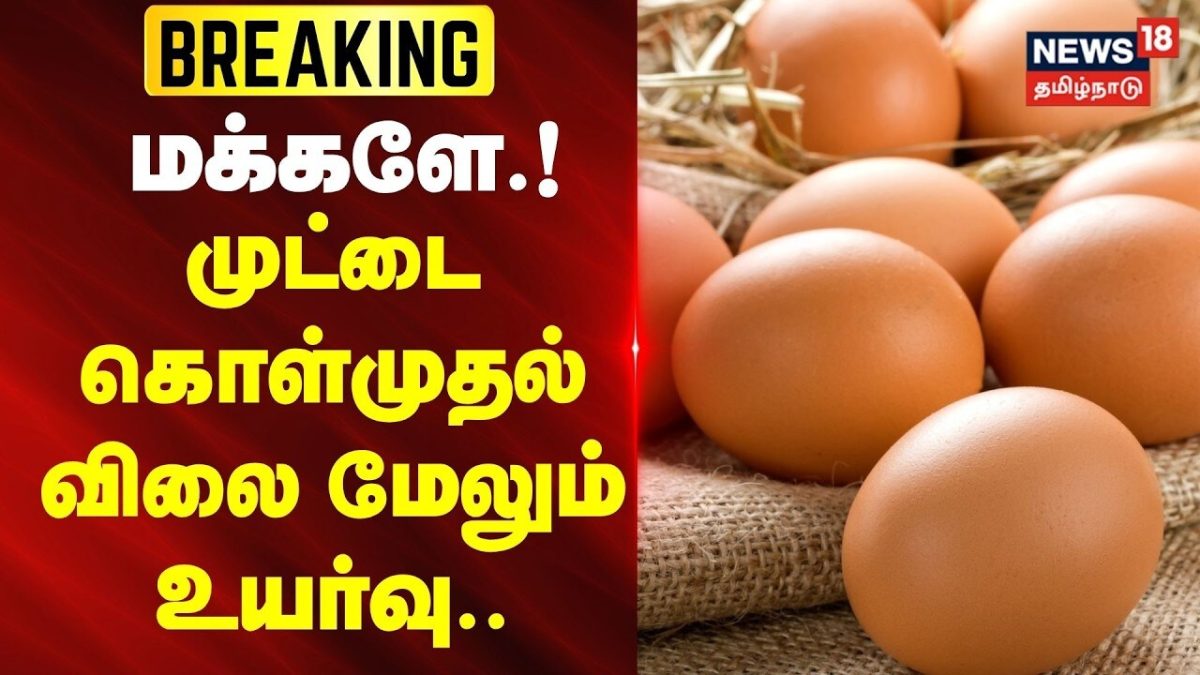 JUSTNOW | முட்டை கொள்முதல் விலை மேலும் உயர்வு.. | Egg Price Hike | News18Tamilnadu