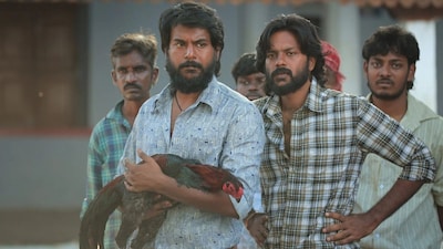 டோரதி 