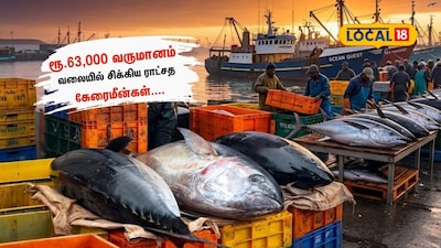 ஒரே நாளில் ரூ.63,000 அள்ளித் தந்த ராட்சத கேரைமீன்கள்