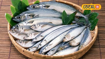 Low Price And Extra Delicious Discover The Poor Mans Vaniram Choodai Fish