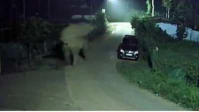 Shock in Gudalur: Wild Elephant Chases Two-Wheeler Rider! Terrifying CCTV Footage Released!