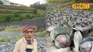 நீலகிரியில்