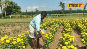 விழுப்புரம்