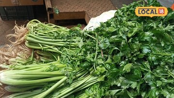 வெளிநாடுகளுக்கு