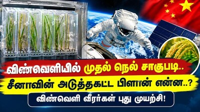 விண்வெளியில் முதல் நெல் சாகுபடி.. சீனாவின் அடுத்தகட்ட பிளான் என்ன..? விண்வெளி வீரர்கள் புது முயற்சி!