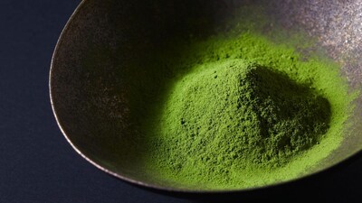 moringa powder