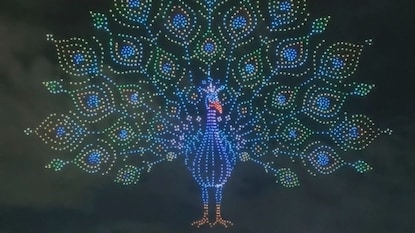 மைசூர் மயில் வடிவம் சாதனை
