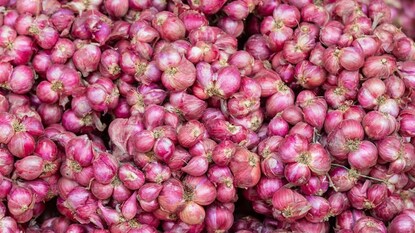 சின்ன வெங்காயம்