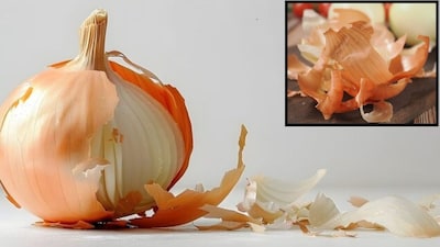 Amazing Benefits of Onion Peels for Hair Care