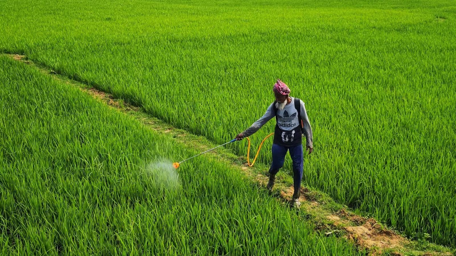 இந்நிலையில், பி.எம். கிசான் சம்மான் நிதி (PM Kisan Samman Nidhi Yojana) திட்டத்தின் கீழ், நாட்டின் கோடிக்கணக்கான விவசாயிகளுக்கு மத்திய அரசு ஆண்டுதோறும் ரூ. 6,000 பொருளாதார உதவியை வழங்கி வருகிறது. இந்தத் தொகை தலா ரூ. 2,000 வீதம் மூன்று சம தவணைகளாக நேரடியாக விவசாயிகளின் வங்கியுடன் இணைக்கப்பட்ட வங்கிக் கணக்குகளில் வரவு வைக்கப்படுகிறது. இந்நிலையில், பி.எம். கிசான் சம்மான் நிதி (PM Kisan Samman Nidhi Yojana) திட்டத்தின் கீழ், நாட்டின் கோடிக்கணக்கான விவசாயிகளுக்கு மத்திய அரசு ஆண்டுதோறும் ரூ. 6,000 பொருளாதார உதவியை வழங்கி வருகிறது. இந்தத் தொகை தலா ரூ. 2,000 வீதம் மூன்று சம தவணைகளாக நேரடியாக விவசாயிகளின் வங்கியுடன் இணைக்கப்பட்ட வங்கிக் கணக்குகளில் வரவு வைக்கப்படுகிறது.