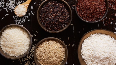rice varieties