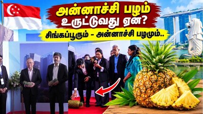 சிங்கப்பூரும் - அன்னாச்சி பழமும்