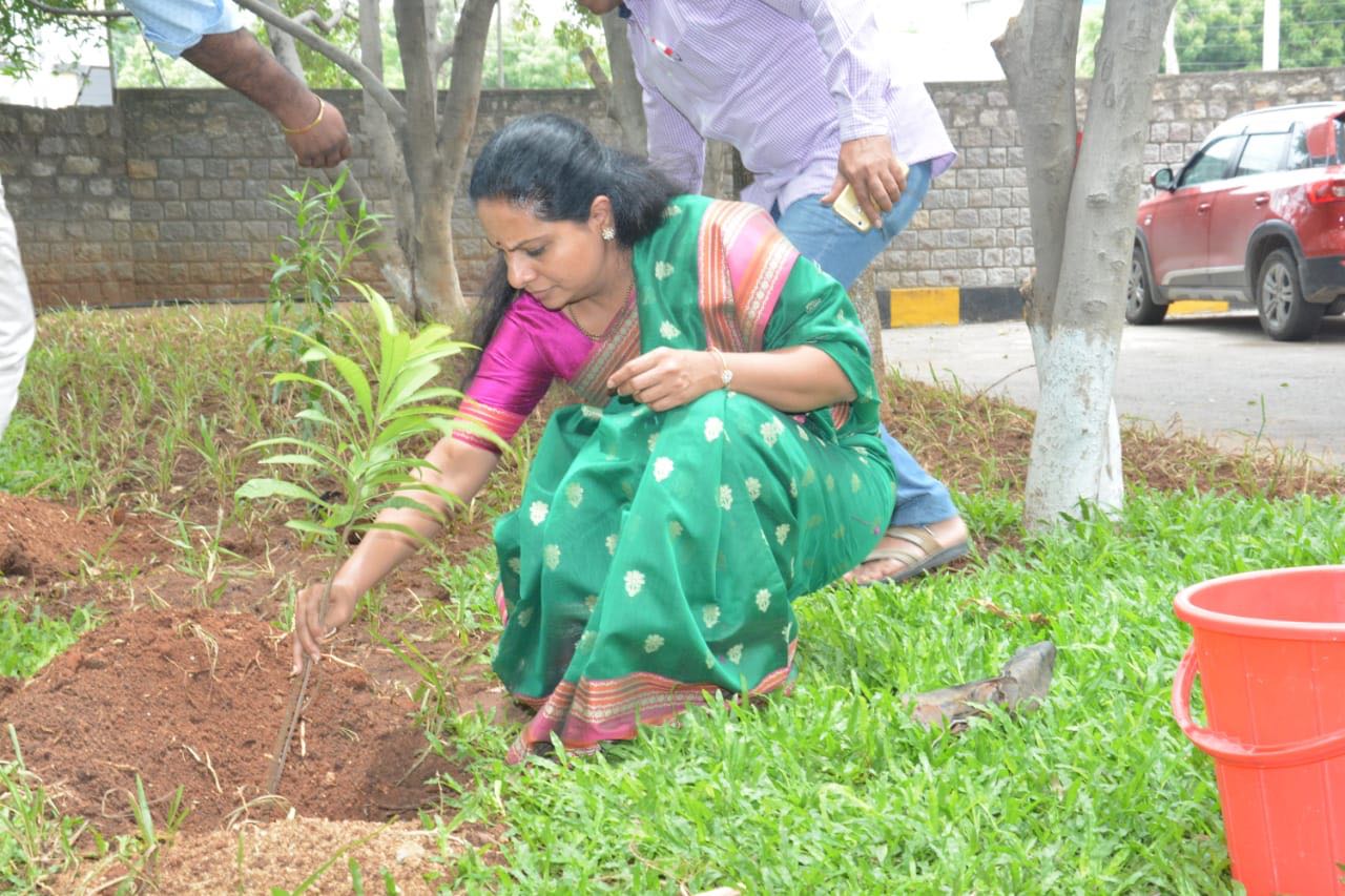గ్రీన్ ఛాలెంజ్లో భాగంగా మొక్కనాటుతున్న ఎంపీ కవిత