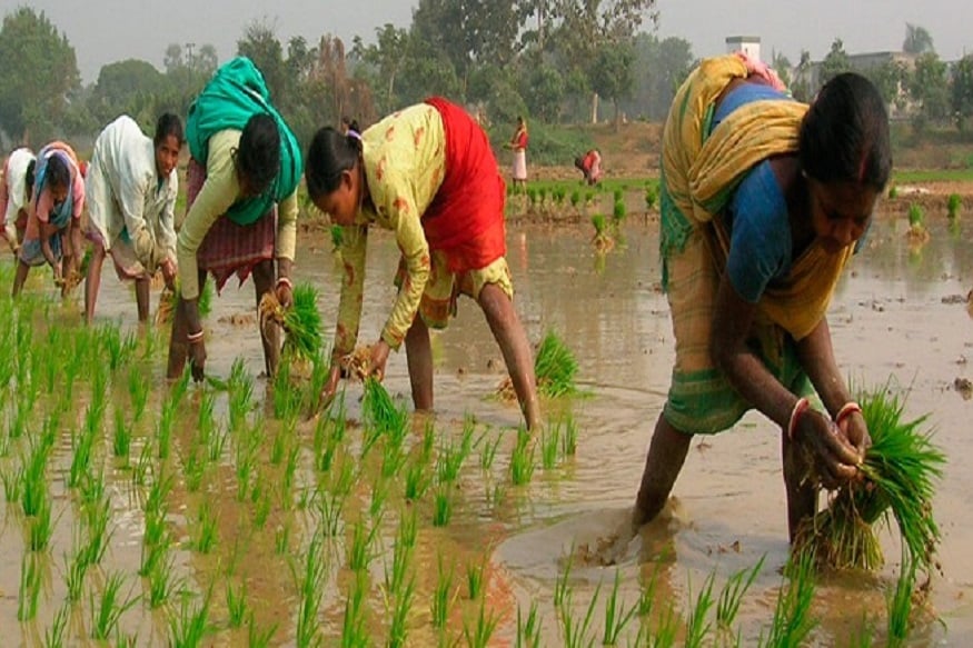 PM modi and BJP planning to implement better scheme than farm loan waive off for farmers రుణమాఫీ కాదు... అంతకుమించి ఆలోచిస్తున్న మోదీ వ్యవసాయ రుణాలను మాఫీ చేయడం ద్వారా బీజేపీకి వచ్చే సార్వత్రిక ఎన్నికల్లో ఆశించిన స్థాయిలో మైలేజీ ఉంటుందా లేదా అనే అంశంపై ఆ పార్టీ జాతీయ నాయకత్వం విస్తృతంగా చర్చలు జరుపుతోంది. మరోవైపు రుణమాఫీ కంటే మరో రకంగా రైతులకు మేలు చేసే పథకాన్ని ప్రవేశపెట్టాలనే ఆలోచనలో బీజేపీ నాయకత్వం, ప్రధాని నరేంద్రమోదీ ఉన్నట్టు తెలుస్తోంది.
