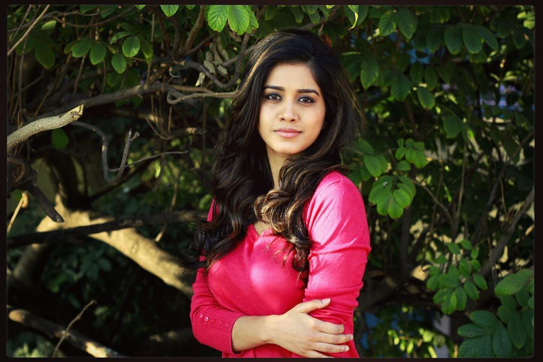 హాట్ ఫోటోలతో కుర్రాళ్ల మనసు దోచుకుంటున్న నబా నటేశ్ (instagram/nabhanatesh)