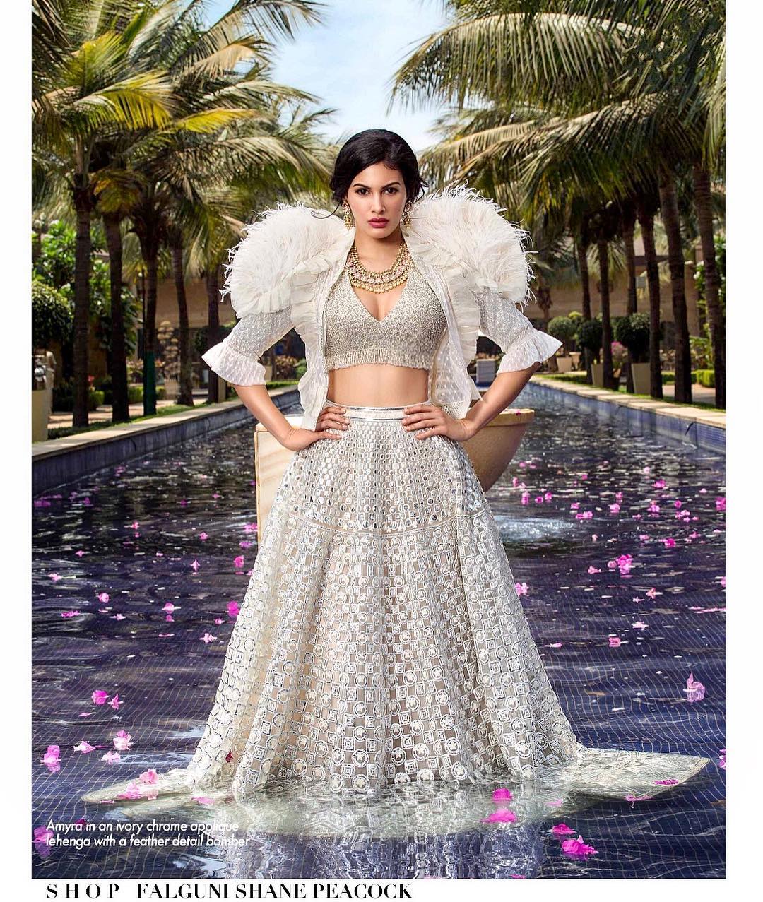 అమైరా దస్తూర్ హాట్ ఫోటోస్ Photo : Instagram/amyradastur93