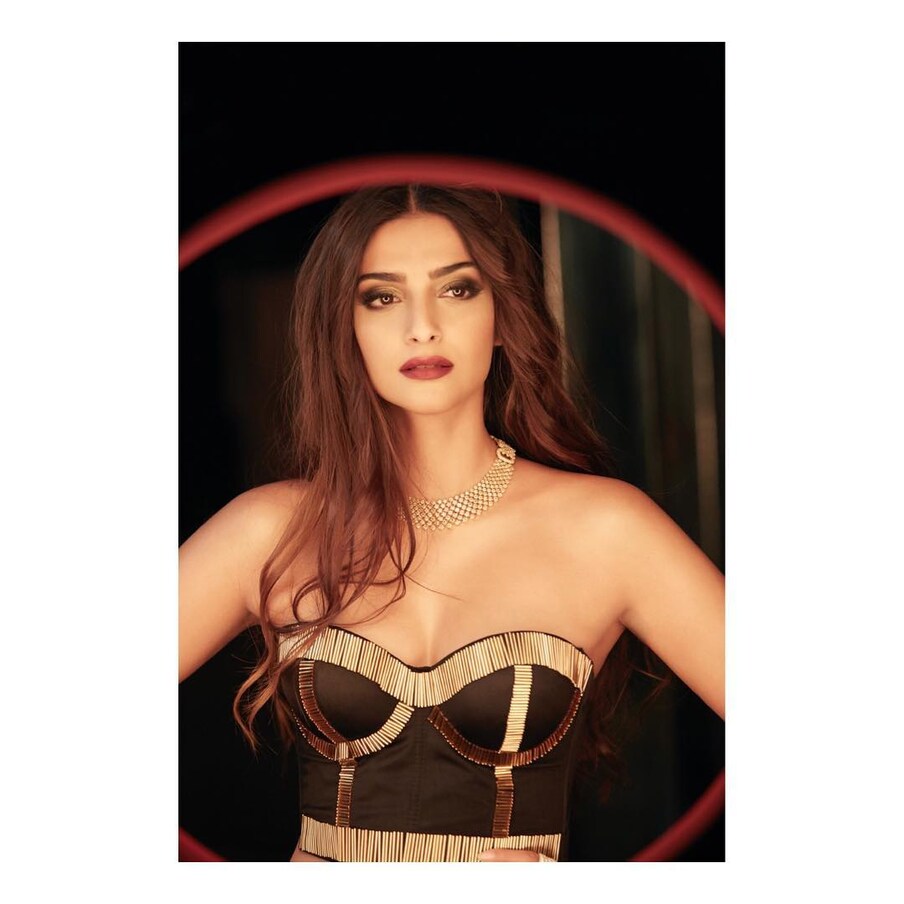  సోనమ్ కపూర్ హాట్ ఫోటోస్ Photo: Instagram/sonamkapoor