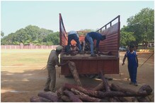 Video:  కర్ణాటకలో రూ.5 కోట్లు విలువచేసే ఎర్రచందనం స్వాధీనం