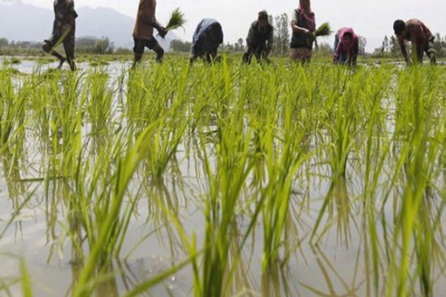annadata sukhibhava, annadata sukhibhava Farmers, Financial assistance to Farmers, AP Farmers, Rs.1000 per Farmer Family, Rs.15,000 per year, చంద్రబాబునాయుడు, ఏపీ ప్రభుత్వం రైతు స్కీమ్, అన్నదాత సుఖీభవ, అన్నదాత సుఖీభవ సాయం రూ.10000, అన్నదాత సుఖీభవ సాయం రూ.15000, రైతులకు ఏపీ సర్కారు సాయం, ప్రధానమంత్రి కిసాన్ సమ్మాన్ నిధి, పీఎం కిసాన్ పథకం, ఏపీ ప్రభుత్వం రైతుబంధు
