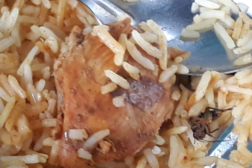 Rail Drishti, Rail Drishti dashboard, Indian railways dashboard, indian railways, piyush goyal, irctc kitchen live feed, irctc kitchen live visuals, Cockroach Found in Chicken Biriyani, Cockroach in Chicken Biriyani, Cockroach Biriyani, చికెన్ బిర్యానీలో బొద్దింక, బిర్యానీలో బొద్దింక, రైల్ దృష్టి, రైల్ దృష్టి డ్యాష్బోర్డ్, ఇండియన్ రైల్వేస్ డ్యాష్ బోర్డ్, పీయూష్ గోయల్, ఐఆర్సీటీసీ కిచెన్ లైవ్ విజువల్స్