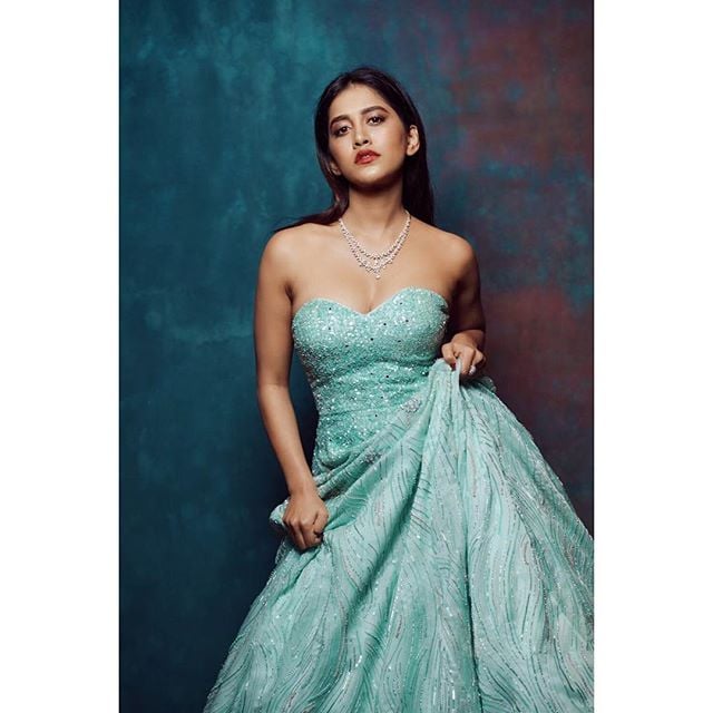 నభా నటేష్ హాట్ ఫోటోషూట్ Photo: Instagram.com/nabhanatesh/