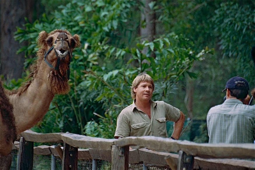 australia, crocodile hunter, doodle, Google, google doodle, Google Doodle today, steve Irwin steve Irwin birthday, Google News, Today’s Google Doodle steve irwin, steve irwin death, bindi irwin, steve irwin death reason, australia zoo, steve irvin death video, stingray attack, steve irwin son, స్టీవ్ ఇర్విన్, గూగుల్ డూడుల్, ఆస్ట్రేలియా, మొసళ్ల వేటగాడు, స్టీవ్ ఇర్విన్ డే, క్రొకోడైల్ హంటర్