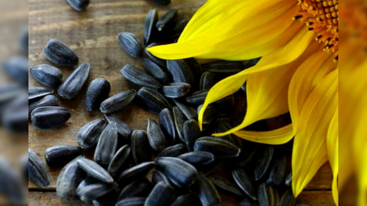 పొద్దు తిరుగుడు పువ్వు విత్తనాలు తింటున్నారా... 21 ఆరోగ్య ప్రయోజనాలు