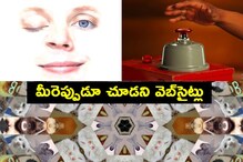 వామ్మో... ఇలాంటి వెబ్ సైట్లు కూడా ఉంటాయా? చిత్రం... విచిత్రం
