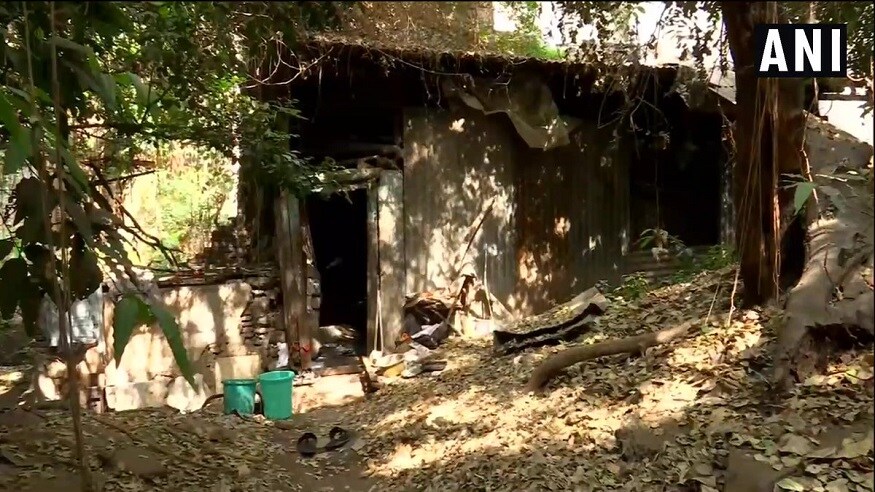 Viral news, Pune Budhwar Peth, Pune professor, pune woman, Dr Hema Sane, Hema Sane living without electricity, Viral news, పూణె బుధ్వార్పేట్, పూణె ప్రొఫెసర్, పూణె వృద్ధురాలు, హేమా సానె, డాక్టర్ హేమా సానె, వైరల్ న్యూస్
