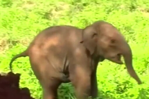 ట్విట్టర్ ఫోటో