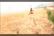 పెద్దపల్లిలో కాలిపోయిన వరిపంట..తీవ్ర మనో వేదనలో రైతులు