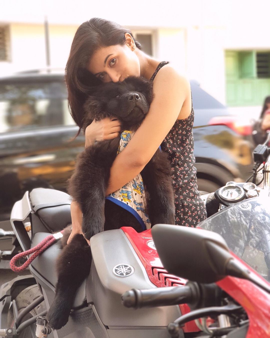 అంజు కురియన్ స్పెషల్ ఫొటో (Image : Insta - anjutk10)
