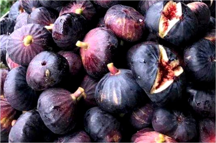 Figs Health Benefits అంజీర్ తింటున్నారా... ఆరోగ్య ప్రయోజనాలు ఇవీ
