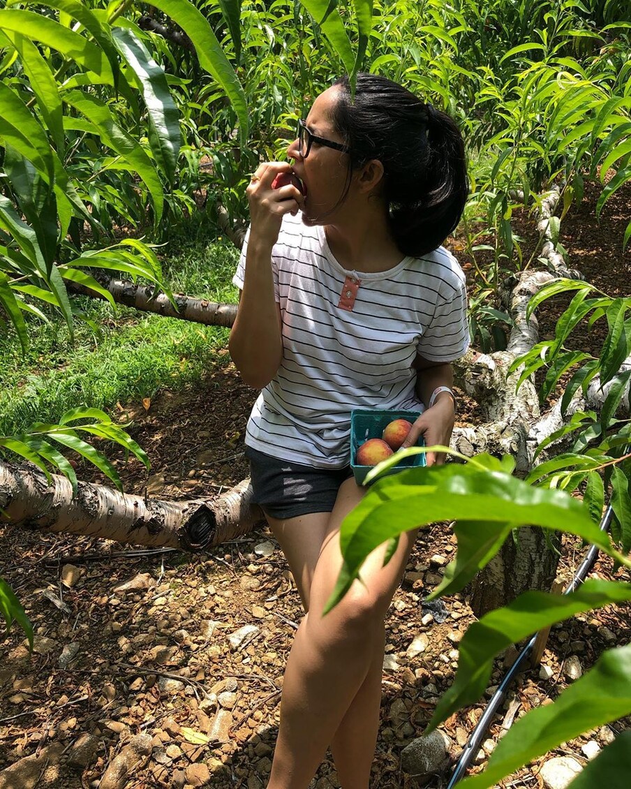  యాపిల్ తోటలో అనసూయ.. Photo: Instagram.com/itsme_anasuya