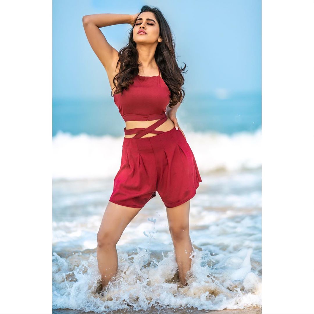 నభా నటేష్ ఫోటోస్ Photo: Instagram.com/nabhanatesh