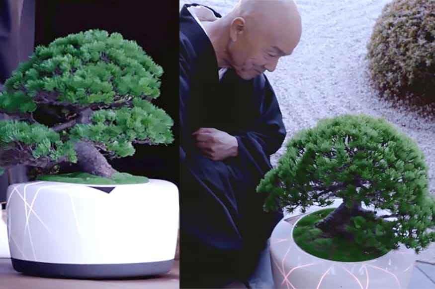 bonsai,smart,4smarts,small orange tree bonsai,how to make small bonsai pot,bons-ai,diy cement bonsai pot,bonsai pots,smart watch,smart robot,bonsai fruit,bonsai craft,bonsai robot,diy meme bonsai pot,cement casting a bonsai pot,beautiful cement bonsai pot,selecting a bonsai pot,best beautiful bonsai,bonsai pot making,bonsai pot new style,diy shohin bonsai pot,bonsai pot tutorials,స్మార్ట్ బోన్సాయ్,