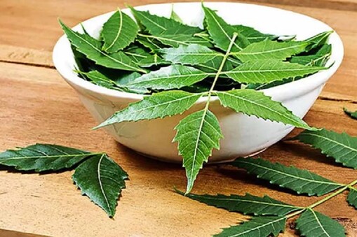 డయాబెటిస్‌కి వేపతో చెక్... ఇలా చెయ్యండి