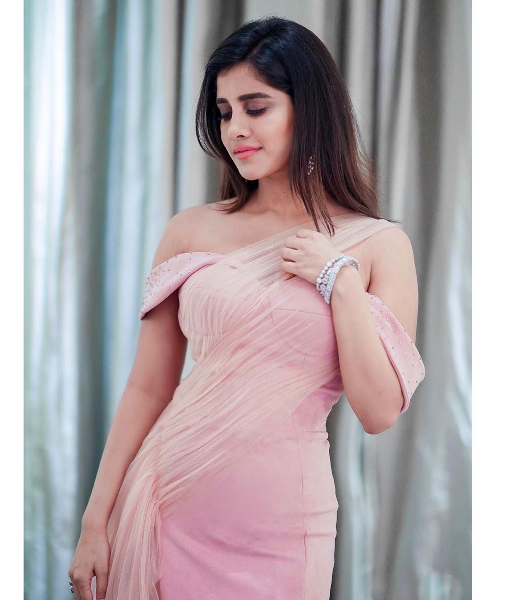 నభా నటేష్ ఫొటోస్ (Credit - Insta - nabhanatesh)